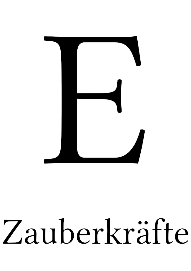 LESEPROBE Kap. E: Zauberkr&auml;fte